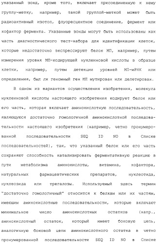 Гены corynebacterium glutamicum, кодирующие белки метаболических путей (патент 2306339)