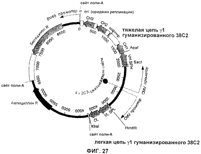 Соединения агонисты рецептора глюкагоноподобного белка-1 (glp-1r) (патент 2432361)