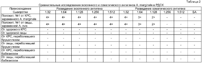 Способ получения анаплазменного антигена для серологической диагностики у животных (патент 2372098)