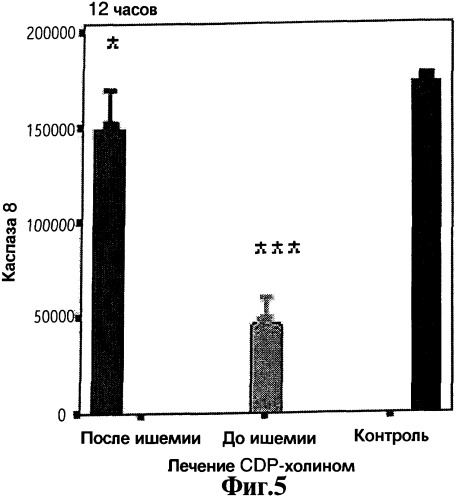 Cdp-холин - профилактическое средство для лечения церебральной ишемии и способ лечения с его использованием (патент 2255741)