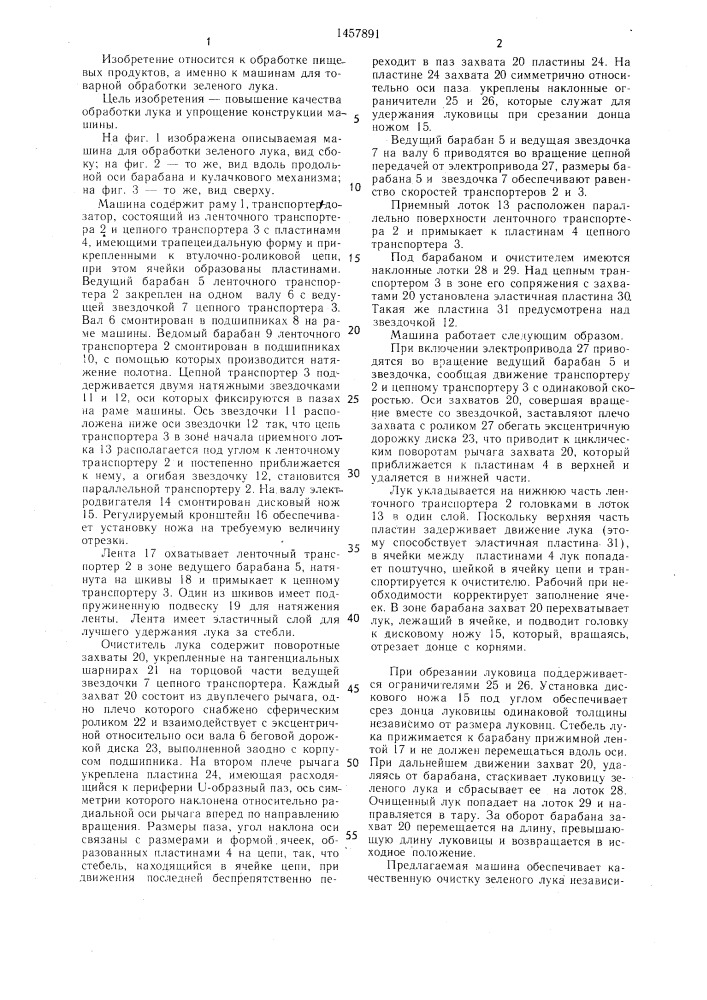 Машина для товарной обработки зеленого лука (патент 1457891)