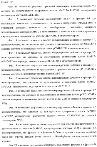 Агонистическое соединение, способное специфически узнавать и поперечно сшивать молекулу клеточной поверхности или внутриклеточную молекулу (патент 2430927)