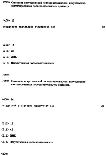 Ген синтеза клеточной стенки грибков (патент 2286387)