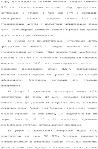 Антитела против вируса гепатита с (патент 2462475)