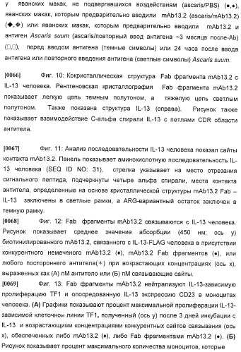 Антитела против интерлейкина-13 человека и их применение (патент 2427589)