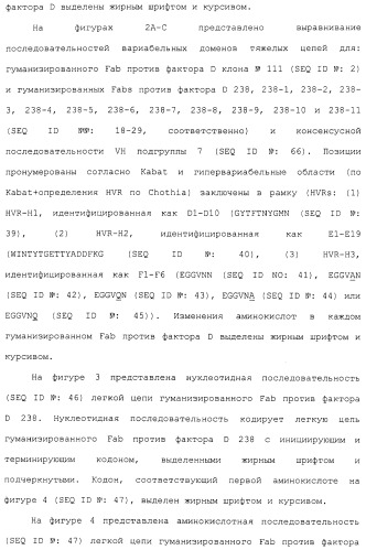 Гуманизированные антитела против фактора d и их применения (патент 2488594)