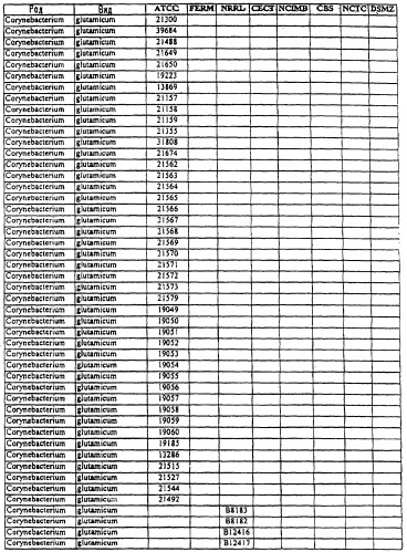Гены corynebacterium glutamicum, кодирующие белки, участвующие в метаболизме углерода и продуцировании энергии (патент 2310686)