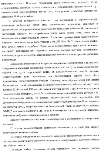 Способ получения фактора, связанного с контролем над потреблением пищи и/или массой тела, полипептид, обладающий активностью подавления потребления пищи и/или прибавления в весе, молекула нуклеиновой кислоты, кодирующая полипептид, способы и применение полипептида (патент 2418002)