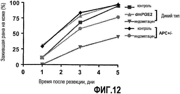 Способ стимуляции регенерации тканей (патент 2480213)