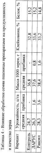 Средство для борьбы с болезнями пшеницы (патент 2464785)