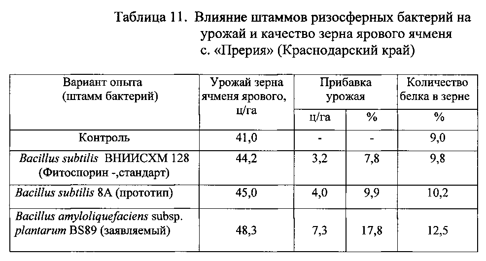 Штамм бактерий bacillus amyloliquefaciens subsp. plantarum bs89 в качестве средства повышения продуктивности растений и их защиты от болезней (патент 2599416)