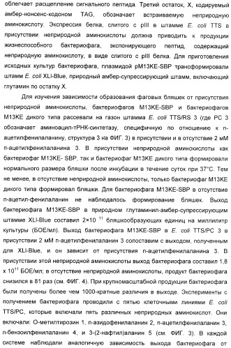 Селективная посттрансляционная модификация экспонируемых фагами полипептидов (патент 2459866)