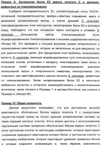 Очищенные оболочечные белки вируса гепатита с для диагностического и терапевтического применения (патент 2319505)