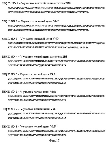 Полипептидные композиции, связывающие cd20 (патент 2396279)