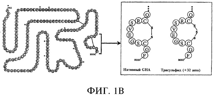 Способ получения соматотропного гормона со сниженным содержанием агрегата его изоформ, способ получения антагониста соматотропного гормона со сниженным содержанием агрегата его изоформ и общим суммарным содержанием трисульфидной примеси и/или дефенилаланиновой примеси (патент 2368619)