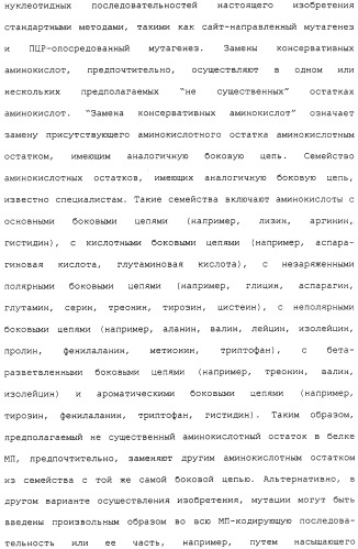 Гены corynebacterium glutamicum, кодирующие белки метаболических путей (патент 2306339)