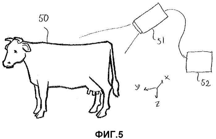Устройство и способ определения количественного показателя состояния тела животного (патент 2543948)