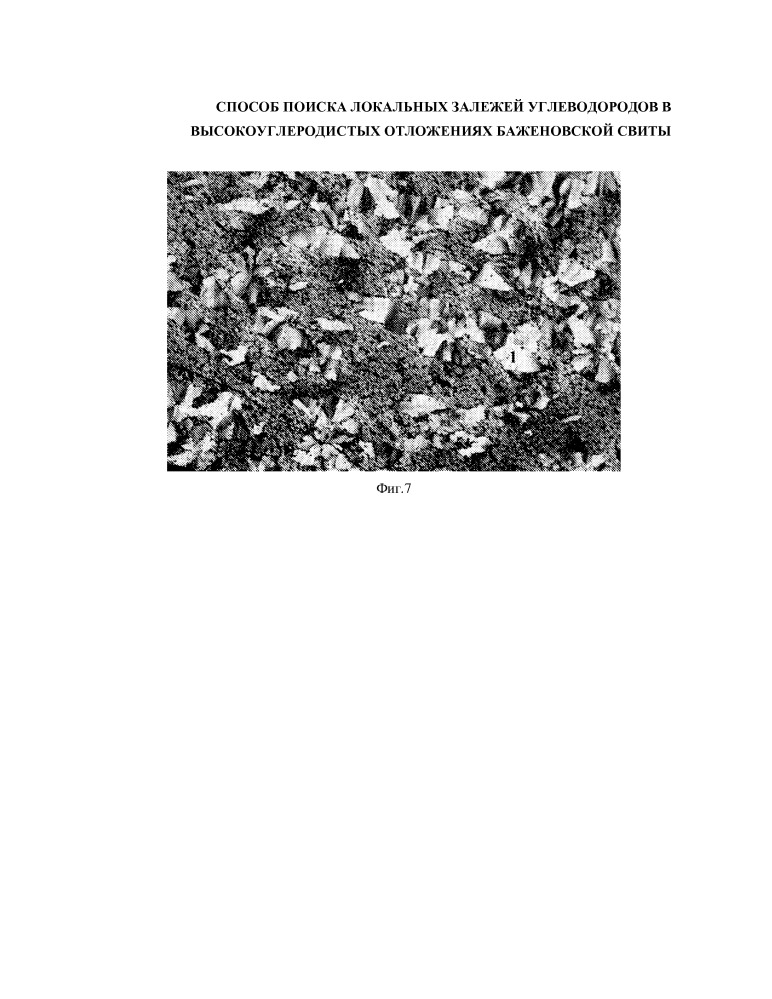 Способ поиска локальных залежей углеводородов в высокоуглеродистых отложениях баженовской свиты (патент 2650852)