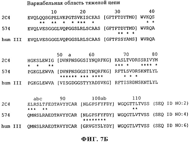 Способ лечения рака у человека (варианты), применяемая в способе форма (варианты) и применение антитела (варианты) (патент 2430739)