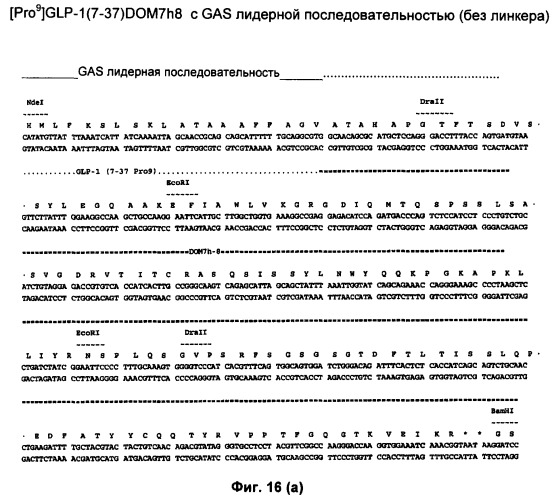 Слитые конструкции лекарственного средства и конъюгаты (патент 2428431)