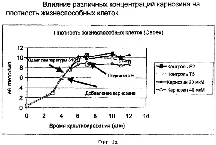 Способ получения белков с использованием соединений, препятствующих старению (патент 2491347)