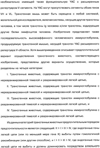 Человеческие моноклональные антитела к рецептору эпидермального фактора роста (egfr), способ их получения и их использование, гибридома, трансфектома, трансгенное животное, экспрессионный вектор (патент 2335507)