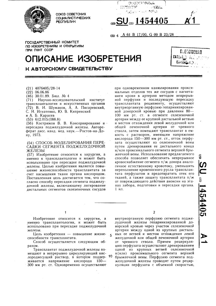 Способ моделирования пересадки сегмента поджелудочной железы (патент 1454405)