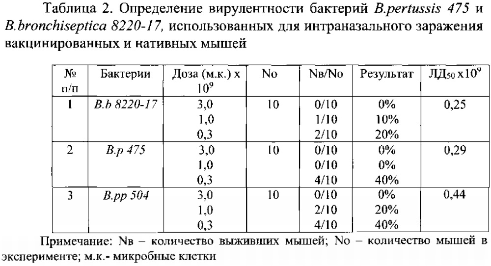 Способ оценки защитной активности коклюшных вакцин (патент 2623314)