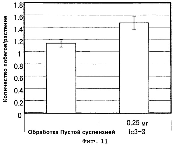 Агент для ингибирования сигнальной функции цитокинина (патент 2477046)