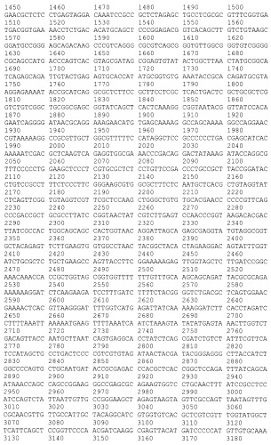 Рекомбинантная плазмида pesat6-cfp10-dbd, рекомбинантный штамм escherichia coli m15 [prep4, pesat6-cfp10-dbd], способ получения, иммобилизации, концентрирования и очистки рекомбинантного белка esat6-cfp10-dbd на декстране, рекомбинантный белок esat6-cfp10-dbd и иммуногенная композиция, содержащая белок esat6-cfp10-dbd (патент 2539026)