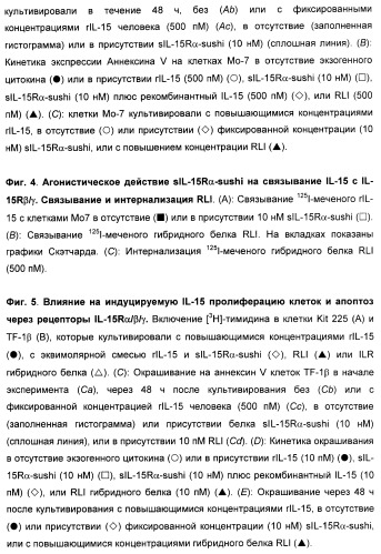 Соединение, предназначенное для стимуляции пути передачи сигнала через il-15rбета/гамма, с целью индуцировать и/или стимулировать активацию и/или пролиферацию il-15rбета/гамма-положительных клеток, таких как nk-и/или t-клетки, нуклеиновая кислота, кодирующая соединение, вектор экспрессии, клетка-хозяин, адъювант для иммунотерапевтической композиции, фармацевтическая композиция и лекарственное средство для лечения состояния или заболевания, при котором желательно повышение активности il-15, способ in vitro индукции и/или стимуляции пролиферации и/или активации il-15rбета/гамма-положительных клеток и способ получения in vitro активированных nk-и/или t-клеток (патент 2454463)