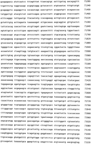 Бактериофаг, обладающий активностью против pseudomonas aeruginosa, белки бактериофага и способы их применения (патент 2580248)