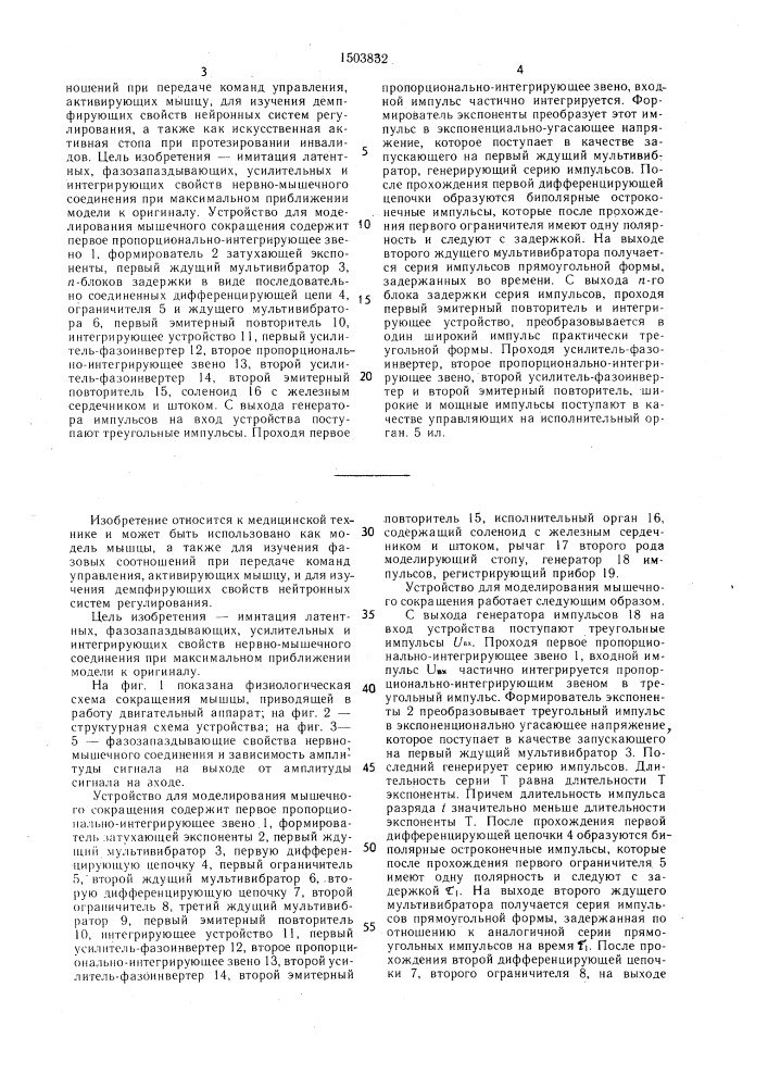 Устройство для моделирования мышечного сокращения (патент 1503832)