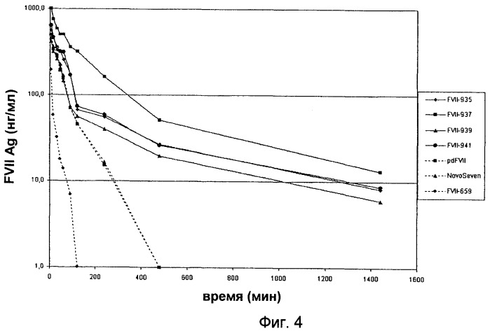 Модифицированный коагулирующий фактор viia с продленным временем полужизни (патент 2466141)