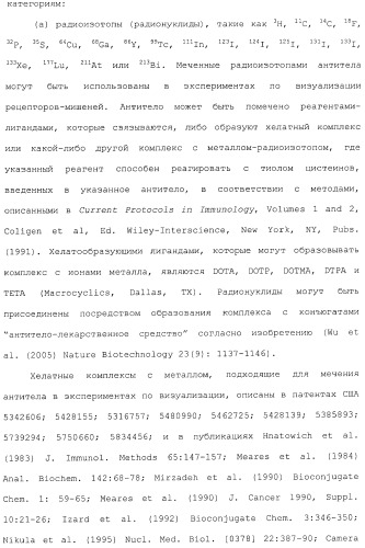 Антитела, сконструированные на основе цистеинов, и их конъюгаты (патент 2412947)