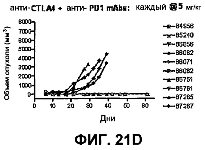 Моноклональные антитела человека к белку программируемой смерти 1 (pd-1) и способы лечения рака с использованием анти-pd-1-антител самостоятельно или в комбинации с другими иммунотерапевтическими средствами (патент 2494107)