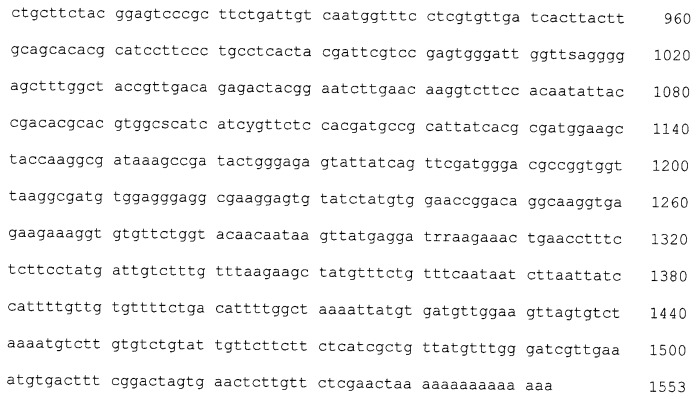 Fad-2-мутанты и растения с высоким содержанием олеиновой кислоты (патент 2461624)