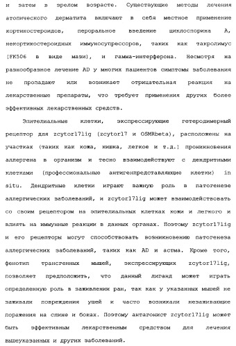 Новый лиганд рецептора цитокина zcytor17 (патент 2360923)
