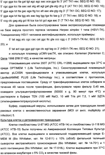 Растительные тимидинкиназы и их применение (патент 2339695)