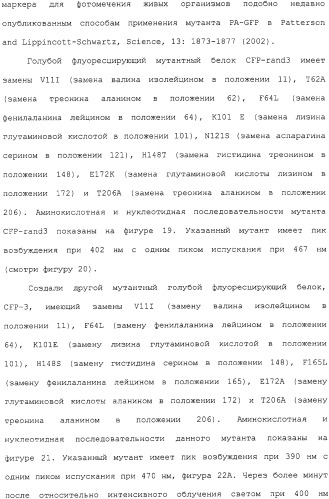 Новые флуоресцирующие белки aequorea coerulscens и способы их применения (патент 2330886)