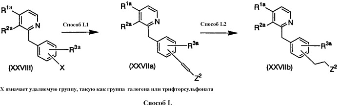 Ген синтеза клеточной стенки грибков (патент 2286387)