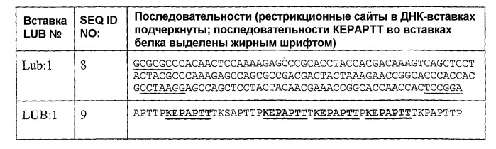 Рекомбинантные молекулы лубрицина и их использование (патент 2376313)