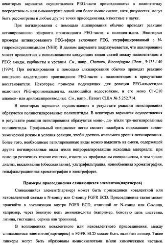 Мутеины кислотной зоны внеклеточного домена рецептора фактора роста фибробластов (патент 2509774)