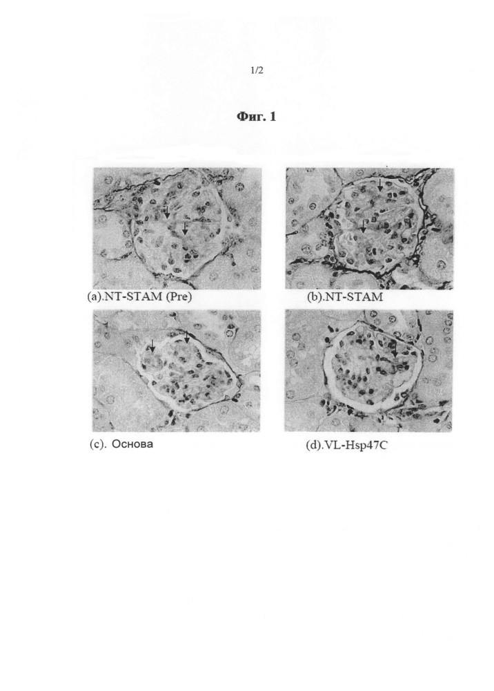 Средство для лечения фиброза почек (патент 2635460)