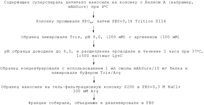 Содержащие суперспираль и/или привязку белковые комплексы и их применение (патент 2573915)