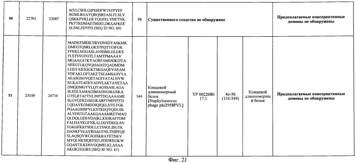 Бактериофаг, обладающий активностью против pseudomonas aeruginosa, белки бактериофага и способы их применения (патент 2580248)