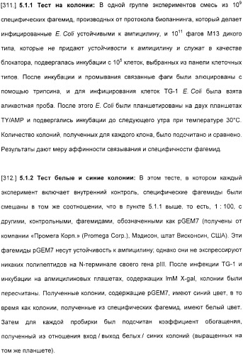 Специфические антитела человека для избирательной терапии рака (патент 2316564)