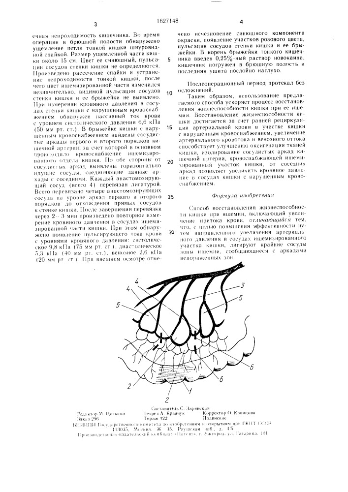 Способ восстановления жизнеспособности кишки при ишемии (патент 1627148)