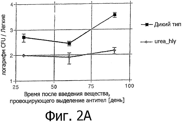 Противотуберкулезная вакцина с улучшенной эффективностью (патент 2342400)