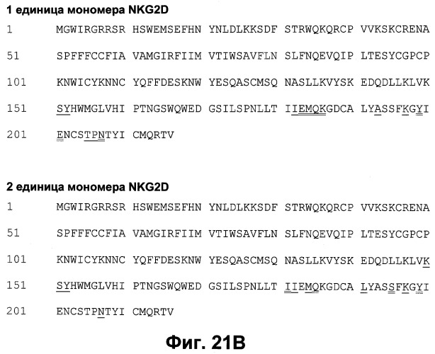 Антитела к человеческому nkg2d и их применения (патент 2563343)